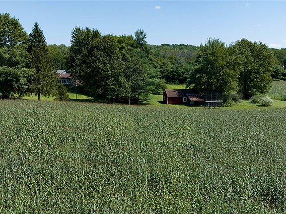 2nd image of 3353 Daansen Rd