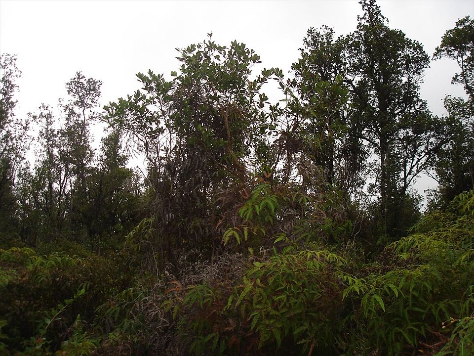 2nd image of Road 3 Hopue Lot 3053