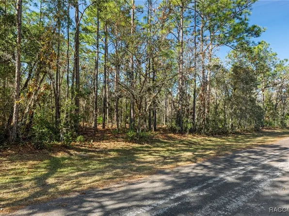 645 N Heathrow Dr, Lecanto, FL 34461