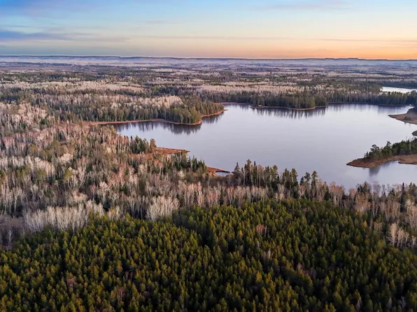 Tbd Arthur Lk, Babbitt, MN 55706