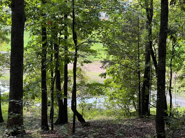 LOT 13 Veal Ln, New Concord, KY 42076