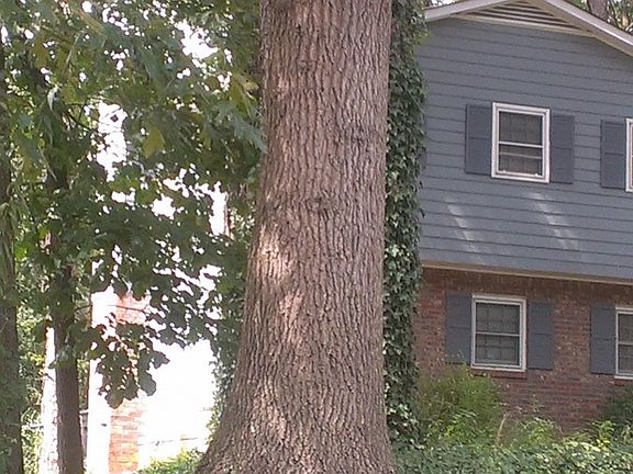 3rd image of 4113 Scenic Mountain Dr