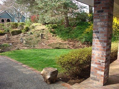 Front Yard
