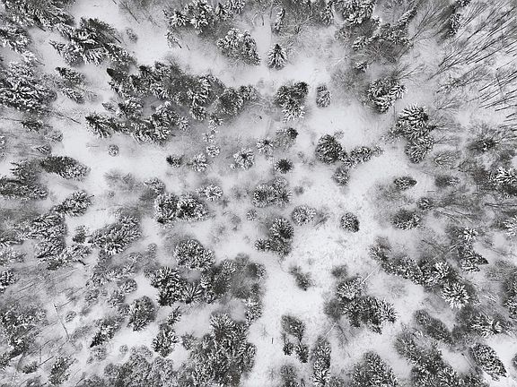 5th image of 1090 Center Road #2