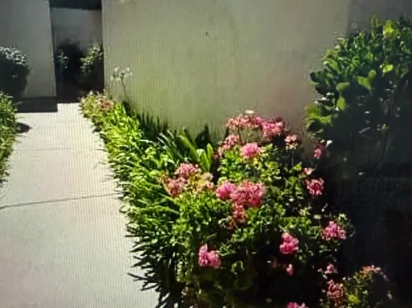 205 Tangerine Ct, San Ramon, CA 94583
