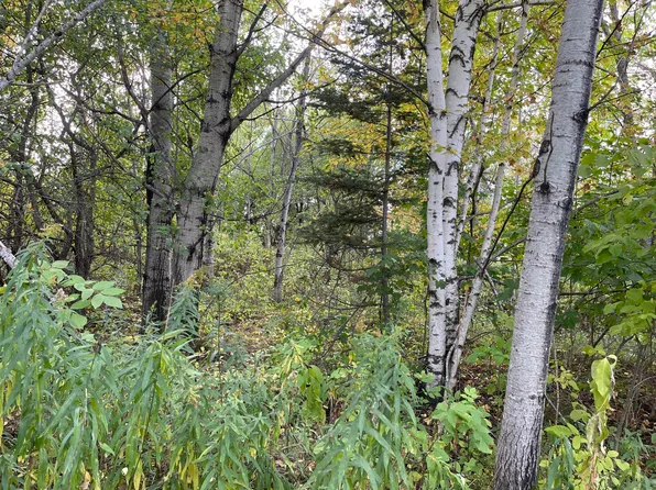 0 N Lakeside Dr, Germfask, MI 49836