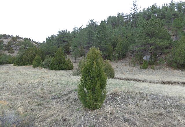 1st image of Lake Side Drive Tract 12