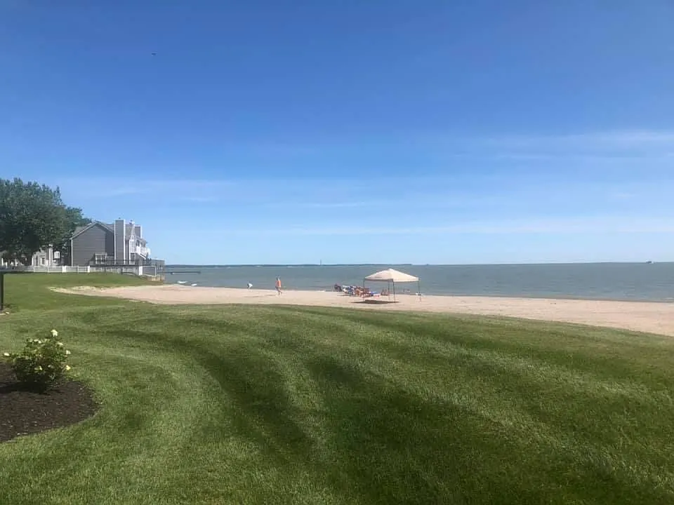 2 bed, 1180 sqft, $2,100 — Photo 2