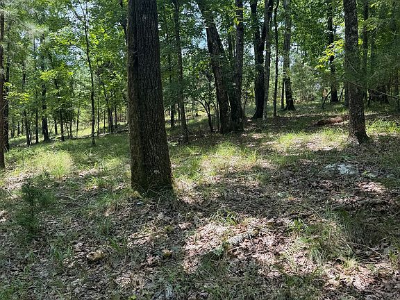 4th image of 0 Pleasant Valley Rd