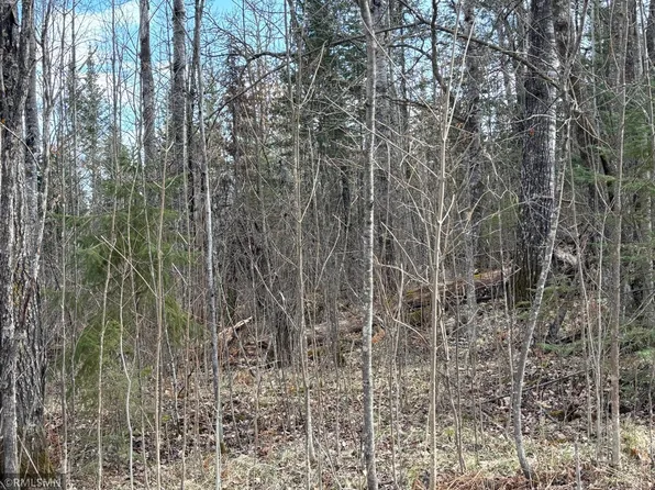 48613 334th Pl, Palisade, MN 56469