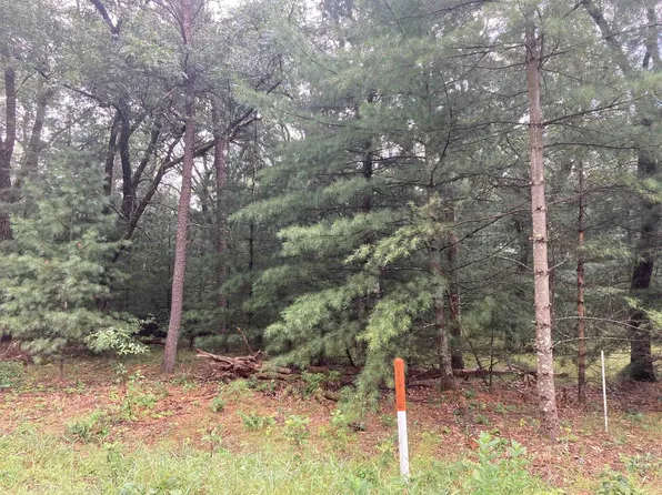 Lot 51 Fern Drive #51, Wisconsin Dells, WI 53965