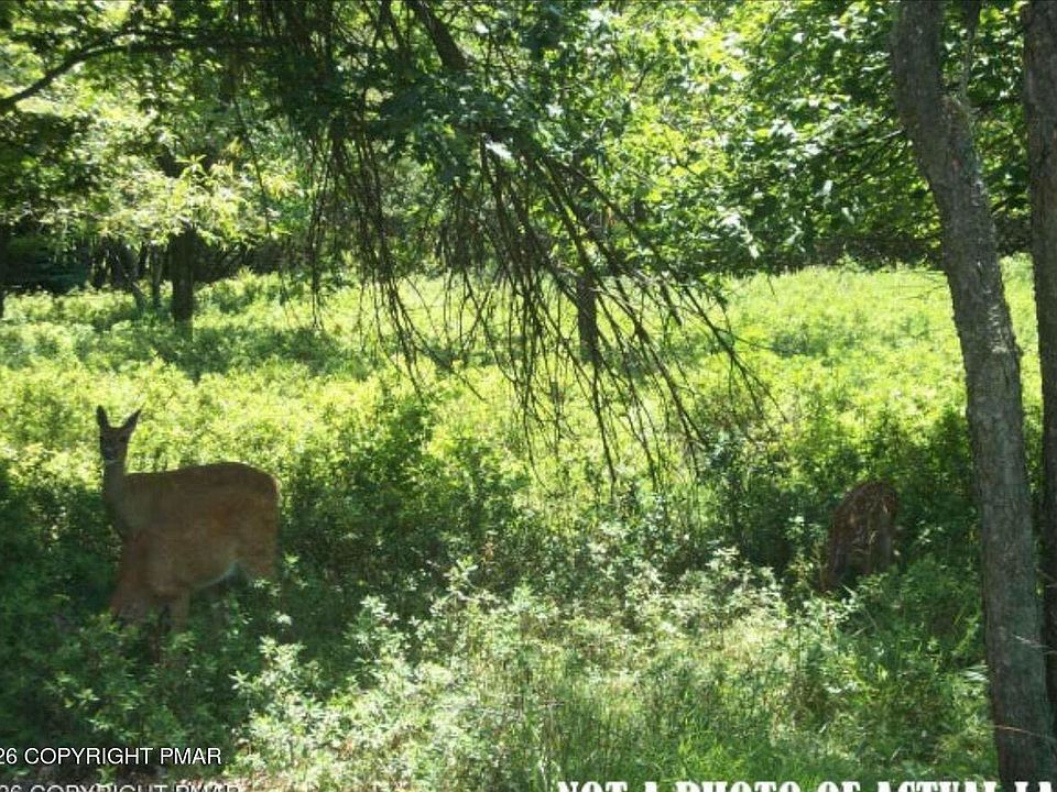 2nd image of Chesapeake Trl