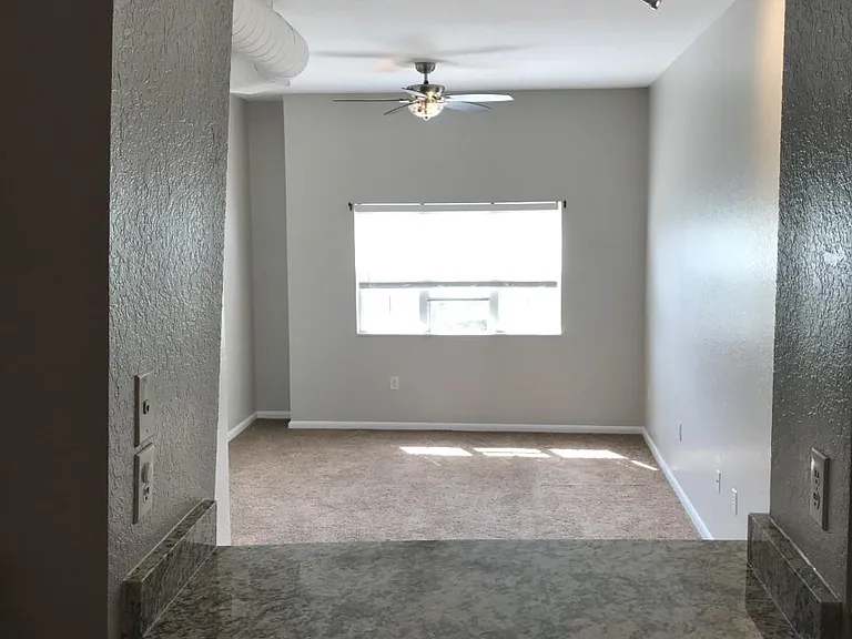 520 S Armenia Ave #1239G — Photo 10