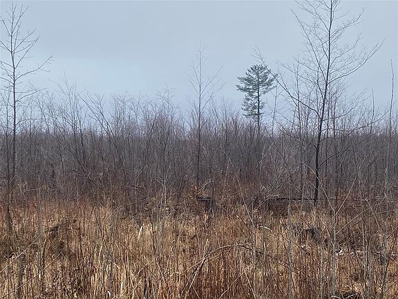 4th image of ON Shauger Road