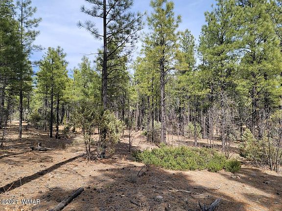 2nd image of 2350 S Trillium Ln