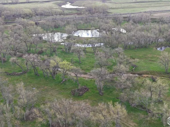 0 County Road 170, Agate, CO 80101