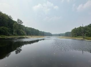 301 Edwards Hill Rd, Lisle, NY 13797