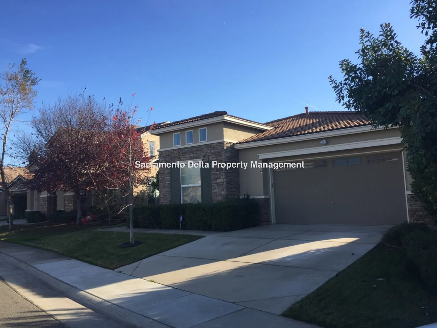 11728 Arista Way photo 1