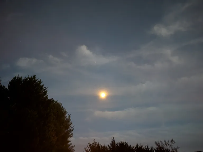 Burnt Acres Ct — Photo 9