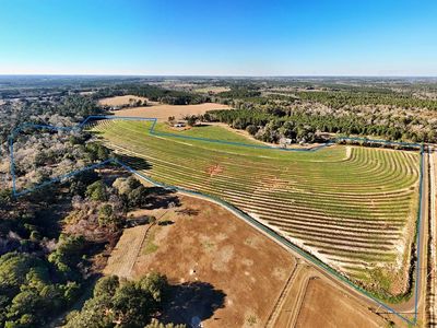 0 Tired Creek Rd, Whigham, GA, 39897