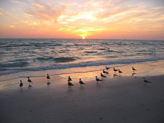 Gulf of Mexico(300 ft away)