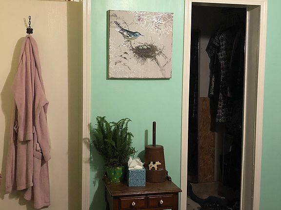 Walk-in Master Closet