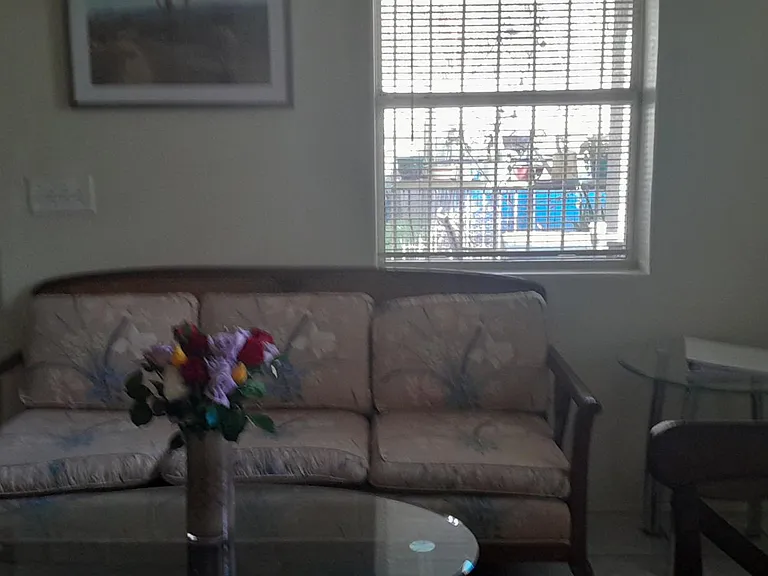 Living room. Sofa, end table, coffee table. Sometimes flowers.
