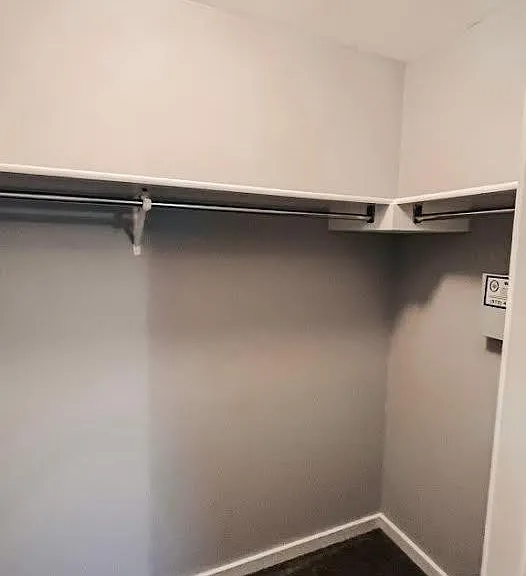 master walk-in closet