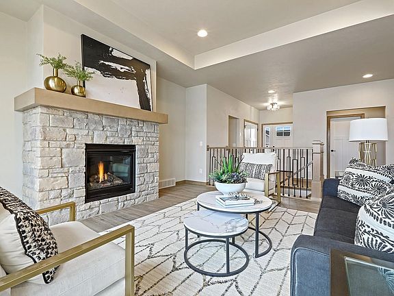 Tray ceiling & gas fireplace.