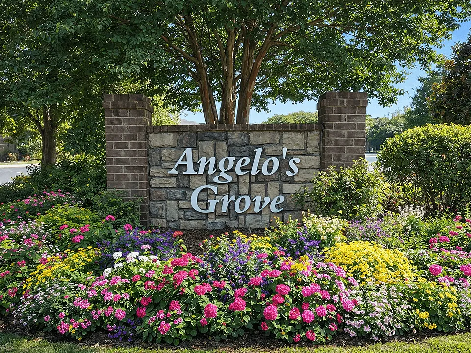 Angelo's Grove
