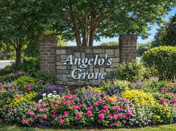 Angelo's Grove