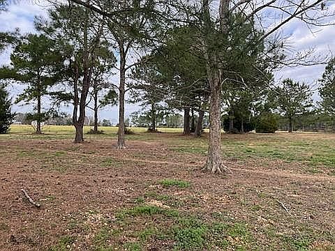 2nd image of 19792 Rada Rd