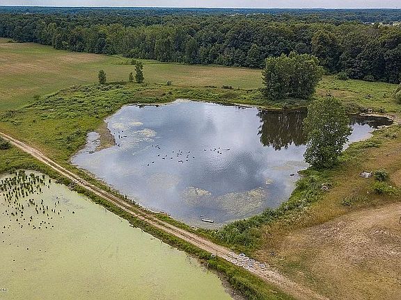 4th image of 786 Barry Rd
