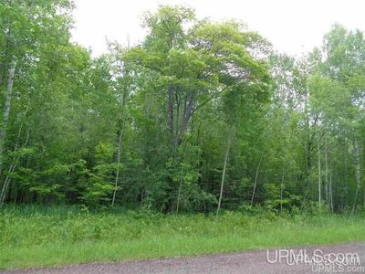 Quarterline Rd, Ontonagon, MI, 49953