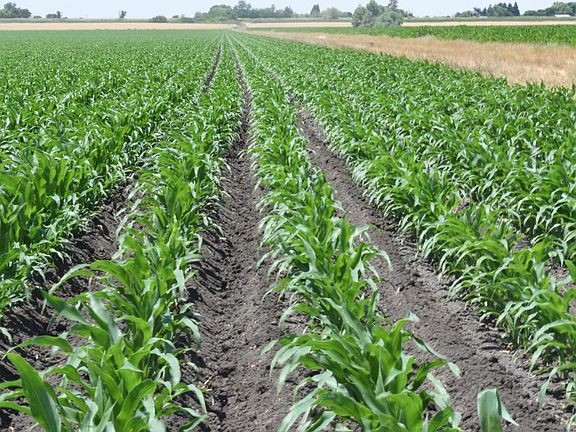 3rd image of 16071 Tyler Island Rd