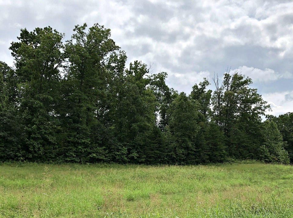 2nd image of 0 Dalton Rd Tract 2