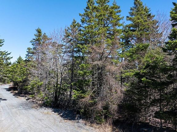 4th image of Dufferin Mines Rd