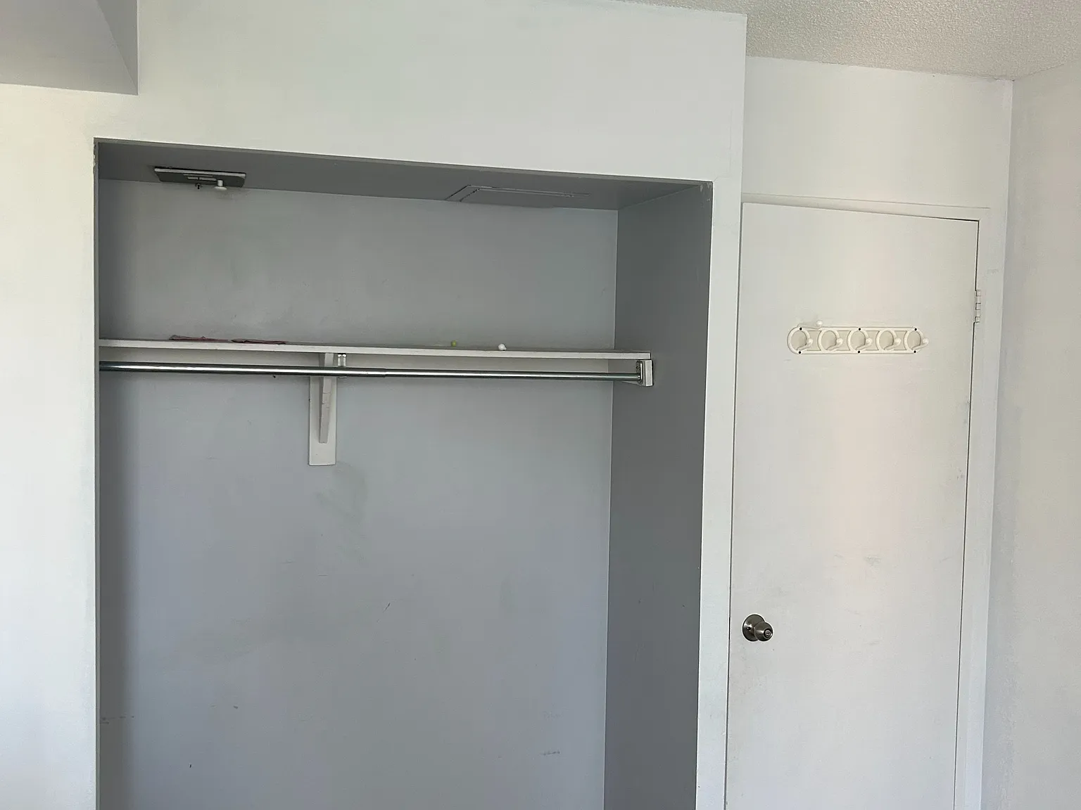 1 bed, $950 — Photo 2