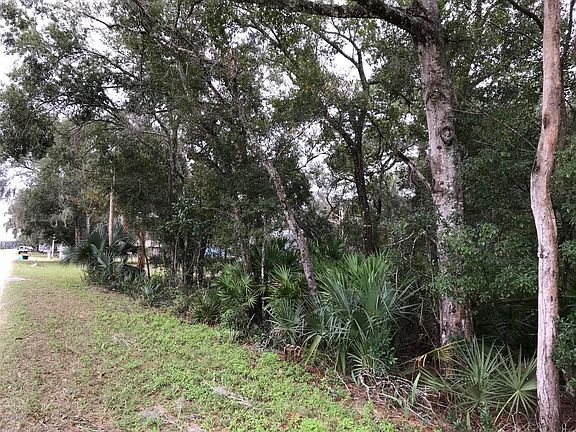 4th image of 285 Old Highway 17