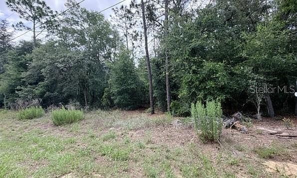 1st image of 3223 E Scofield St Lot 59