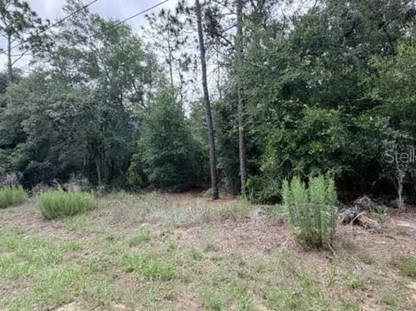 3223 E Scofield St Lot 59, Inverness, FL 34453