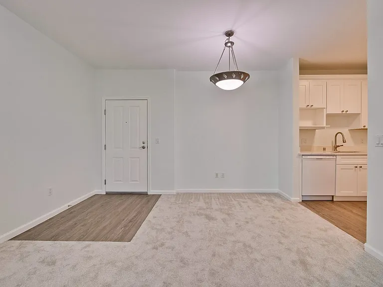 453 E Okeefe St #307 — Photo 17