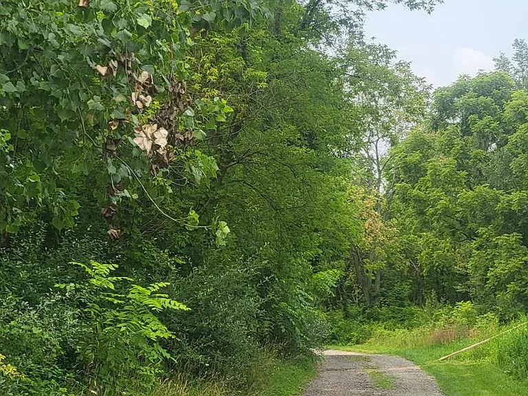 Situated on 20 acres of wooded property, 1 mile from Walmart, Meijer, I96 and M59