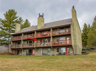 16 Grizzly Way #133, Davis, WV