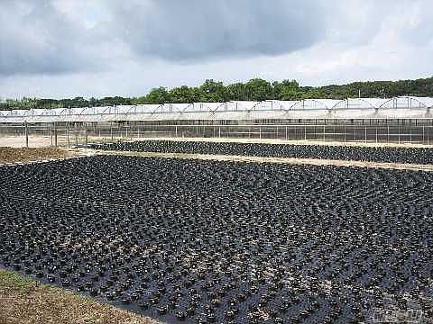 1st image of 36400 County Road 48