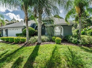 4064 Ligustrum Dr, Palm Harbor, FL 34685