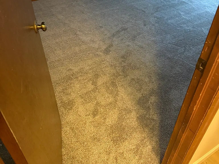 New Carpets installed in both bedrooms June 2025