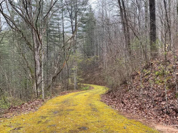 Starling Ln, Sylva, NC 28779