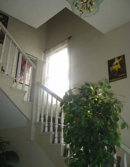 260 N 3rd St #L — Photo 2