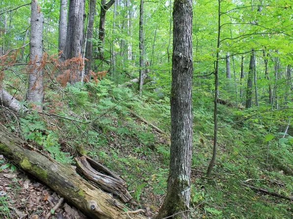 LOT 15 Alpine Dr, Upson, WI 54565